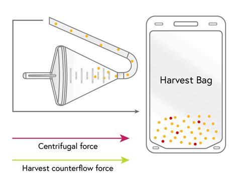 Counterflow Centrifugation Systems - Applications - Invetech