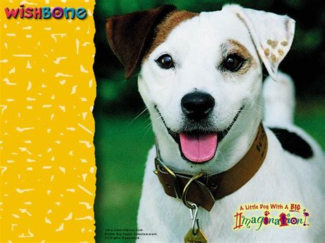 Wishbone Kids Tv Shows, Pbs Kids, Classic Literature, Jack Russell Terrier, Little Dogs, Dog ...