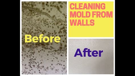 How To Remove Mold From Walls Drywall You