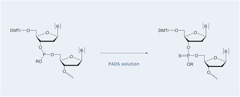 emp BIOTECH GmbH | Oligonucleotide Synthesis Reagents