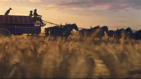 Clydesdale horses return in Budweiser's Super Bowl commercial