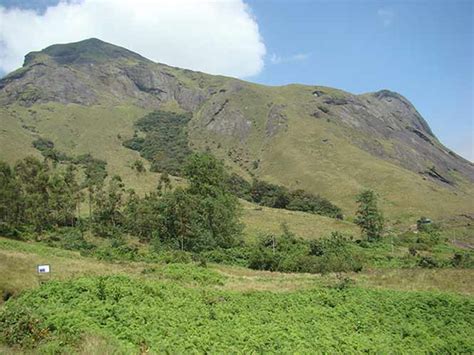 Anamudi Trekking And Camping in Idukki, Kerala | Keralaorbit