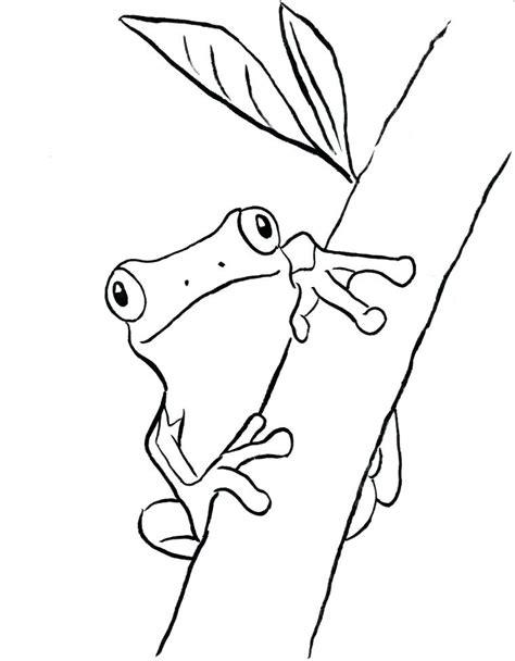 Frog Life Cycle Coloring Pages at GetColorings.com | Free printable colorings pages to print and ...