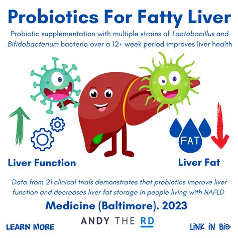 Probiotics For Fatty Liver Disease - Do They Help? - Andy The RD