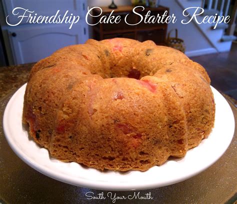 South Your Mouth: Friendship Fruit Cake {plus Starter Recipe}