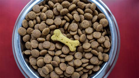 What is Kibble? - Guideline on How to Choose Kibble for Your Fur Baby