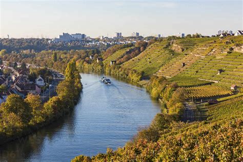 Vineyard by Neckar river in city, Stuttgart, Baden-Württemberg, Germany ...