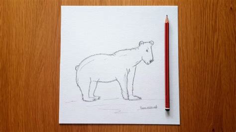 How To Draw A Bear Step By Step - 19 Easy Steps!