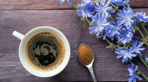 How To Make Chicory Coffee and Benefits of Chicory Coffee - 365 gorgeous