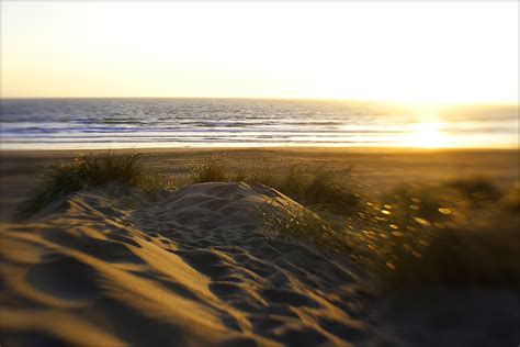 Mystic Dunes at Ocean Beach - The Great Highway – Outer Sunset Art ...