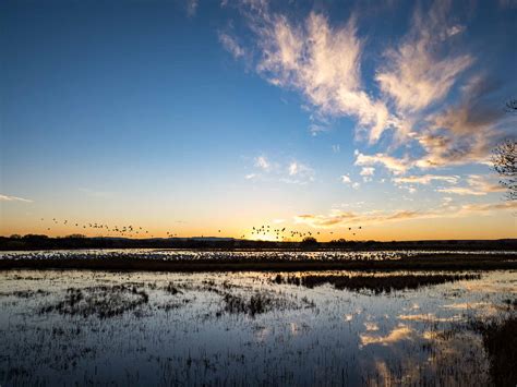 Bosque del Apache | Howell Photographic Arts