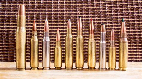 10 Great Low-Recoil Hunting Cartridges - Guns in the News