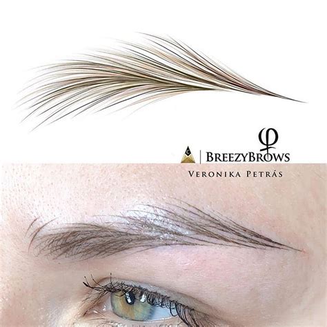 Branko Babic PhiAcademy on Instagram: “Breezy Brows from practice to reality 🍃 Work by @lamajja ...