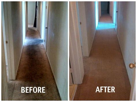 Before and after carpet cleaning! Thanks to San Diego Stanley Steemer ...