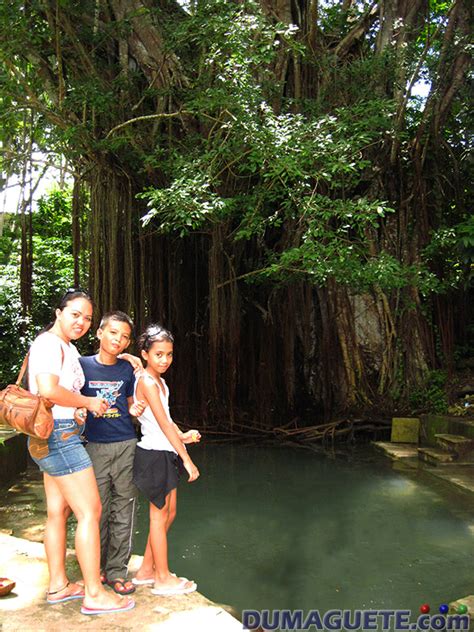 Century Old Balete Tree in Siquijor - Siquijor - Philippines