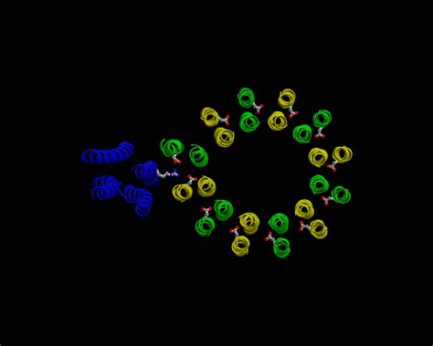 animation of F0 rotation