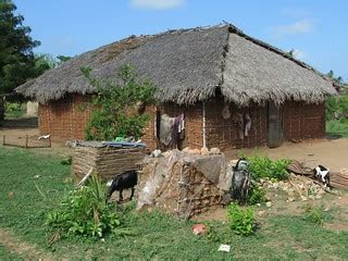 Tanzania Village House | This thatched village house on Kilw… | Flickr
