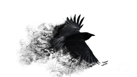 Flying Crow Wallpaper