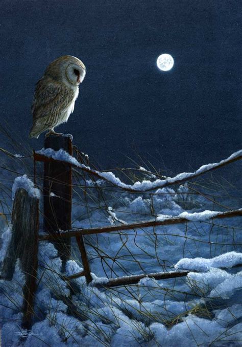 Jeremy Paul Wildlife Artist | Wildlife Art, Paintings, Art Prints | Owl painting, Owl pictures ...