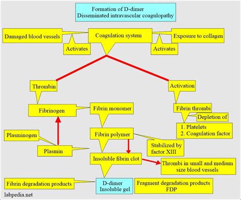 D-dimer test , diagnosis of DIC