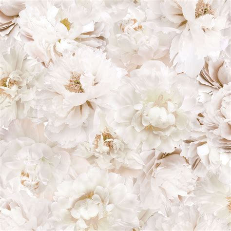 White Flowers Cream Floral Wallpaper | Departments | DIY at B&Q ...