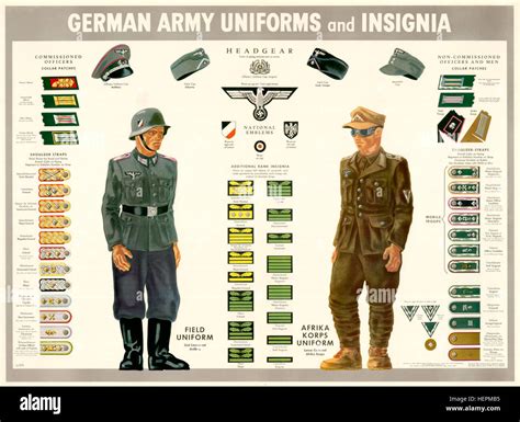 Wehrmacht uniforms and insignia Stock Photo - Alamy