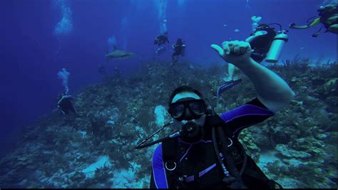 Scuba Diving The Great Blue Hole In Belize Great Blue Hole Blue Hole ...