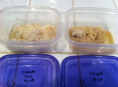 The Rice Experiment – This Will Blow Your Mind! The Rice Experiment Are these words stopping you ...