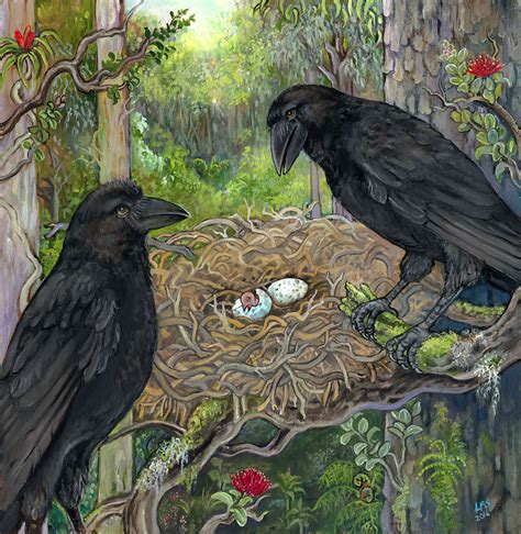 The ‘Alalā: Save the Crows, Save the Forest