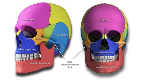 Upper and Lower Jaw surgery in Ventura, CA by Pacific Oral Surgery