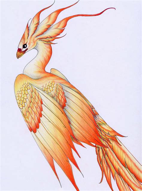 Firebird by verreaux on DeviantArt