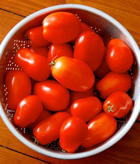 Tomato Planting Guide – Anderson's Seed & Garden