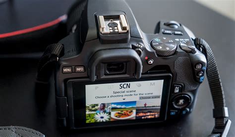 Canon EOS Rebel SL3 review | Best Buy Blog