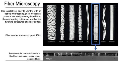 What Does Wool Look Like Under a Microscope? Unlock the Secrets of this Fabulous Fiber