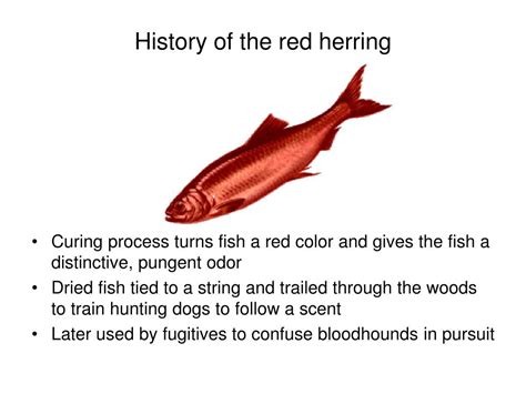 Red herring fallacy definition communication - faswith