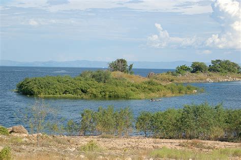 Cannabis in Zimbabwe