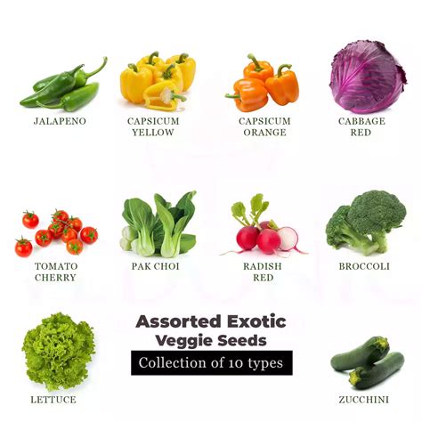 Buy Exotic Vegetables Seeds Online | Garden Supply – Vedonic