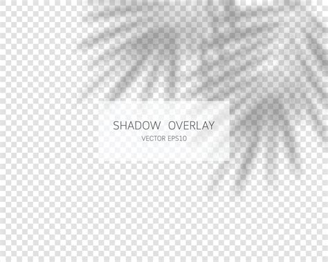 Shadow overlay effect. Natural shadows isolated 2156582 Vector Art at ...