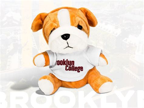 Brooklyn College - DME Delivers Direct Marketing