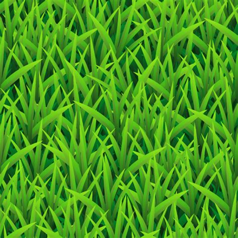 vector-grass-pattern-1899.png – Samardzich Family