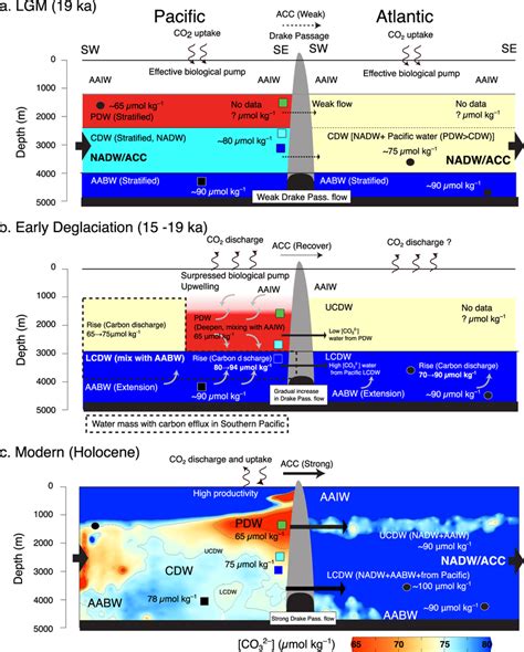 Schematic illustration of water column structure in the Southern... | Download Scientific Diagram