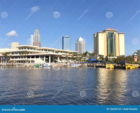 Harbour Island in Tampa, FL Stock Photo - Image of downtown, harbour ...