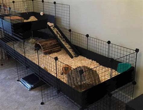 a caged area with some animals in it and a ramp for them to slide down