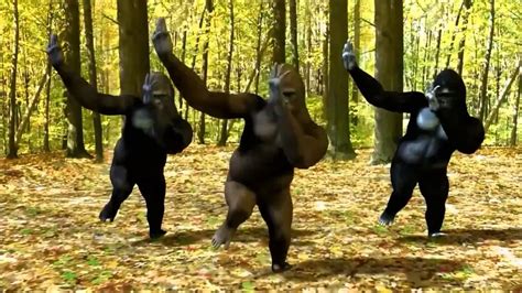 Gorilla Dance - YouTube