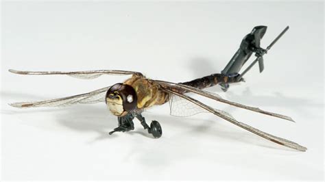 Insect and Nano Drones