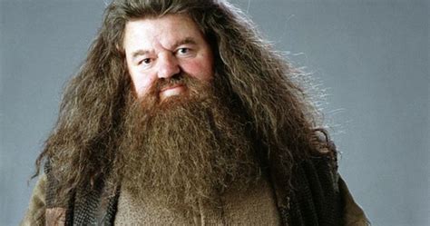 Harry Potter: 10 Memes That Prove Hagrid Was The Funniest Character