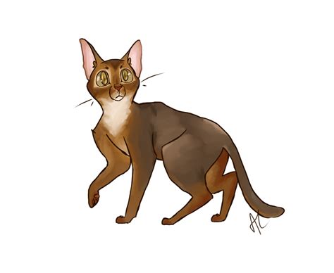 Brown Abyssinian Cat Transparent | PNG All