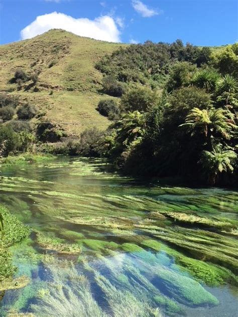 Don't Miss the Putaruru Blue Spring, New Zealand - It's Stunning - Differentville