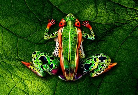 15 Body Paintings of Animals That Completely Hide the Humans