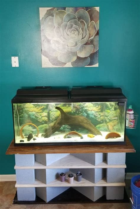 Stylish and Affordable DIY Fish Tank Stand